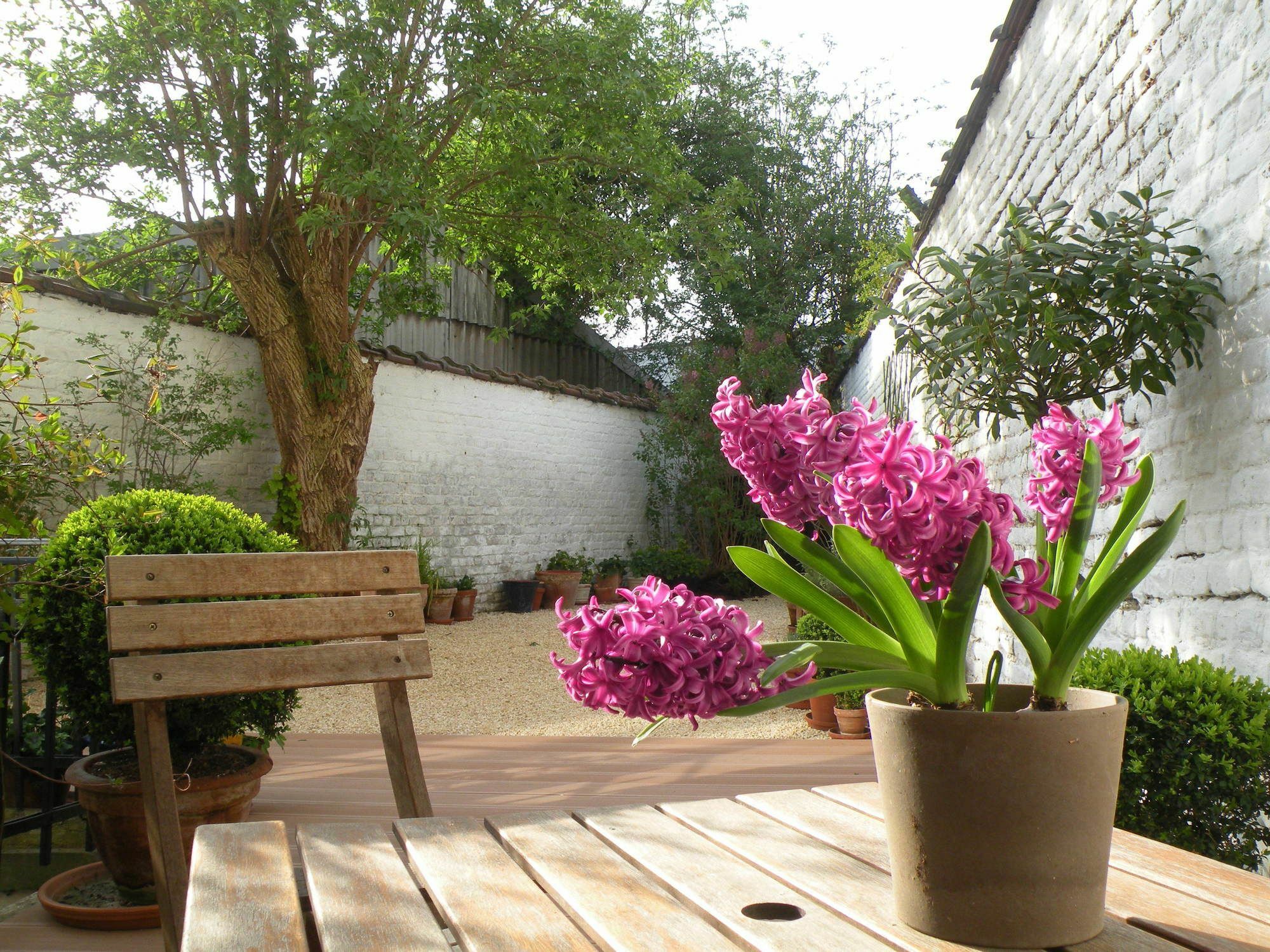B&B Living In Brusel, Urban B&B Etterbeek Zewnętrze zdjęcie